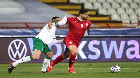 France vs serbia betting preview on betfair instaforex building a house